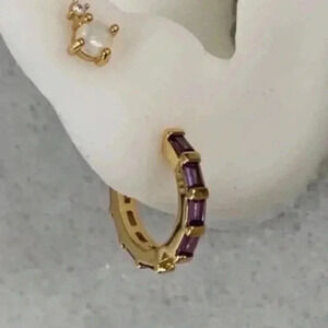 Gold Princess Purple Crystal Pave Hoop Earrings 

Brand New